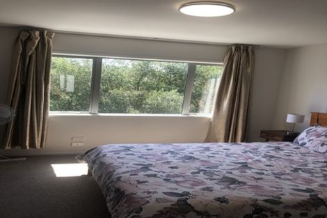 Photo of property in 52n Ronayne Street, Parnell, Auckland, 1010