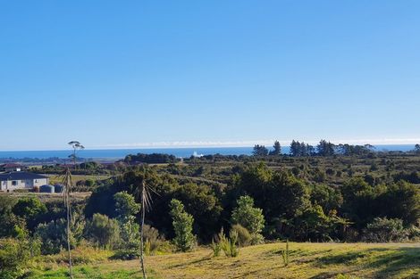 Photo of property in 8 Big Paddock, Blue Spur, Hokitika, 7882