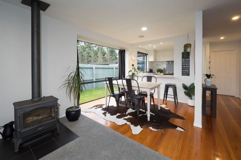 Photo of property in 115 Grove Street, Tinwald, Ashburton, 7700