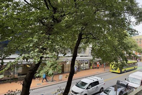 Photo of property in Gerondis Bldg Apartments, 102/60 Willis Street, Wellington Central, Wellington, 6011