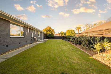 Photo of property in 306 Cranford Street, St Albans, Christchurch, 8052