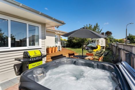 Photo of property in 38 Liverpool Street, Takaro, Palmerston North, 4412