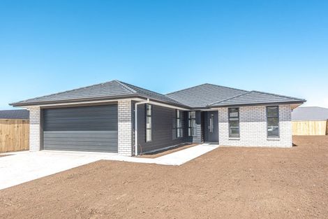 Photo of property in 73 Tawhero Street, Gonville, Whanganui, 4501