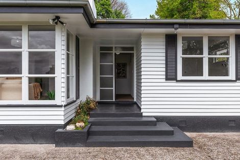 Photo of property in 14 Norrie Place, Putaruru, 3411