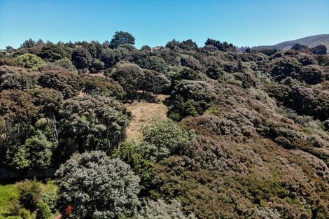 Photo of property in 24 Fred Hollows Way, Glenleith, Dunedin, 9010