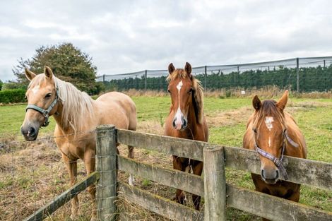 Photo of property in 193 Kerrytown Road, Kerrytown, Timaru, 7975