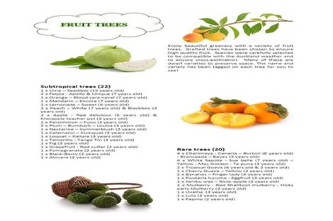 Photo of property in 105 Abbotts Way, Remuera, Auckland, 1050