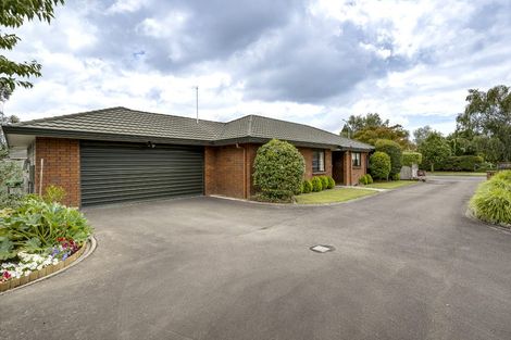 Photo of property in 706a York Street, Mahora, Hastings, 4120