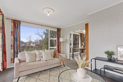 Photo of property in 25 Leeston And Lake Road, Leeston, 7632