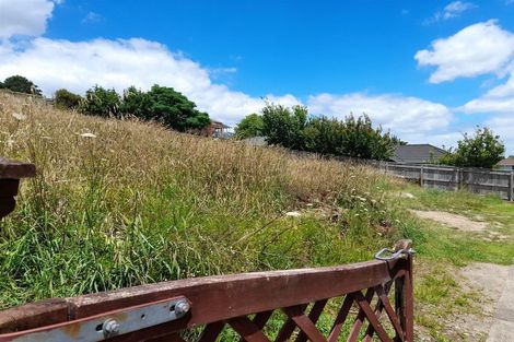 Photo of property in 8 Ohinemuri Place, Paeroa, 3600