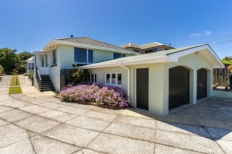 Photo of property in 133 Tahuna Road, Andersons Bay, Dunedin, 9013