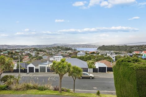 Photo of property in 21 Spottiswoode Street, Andersons Bay, Dunedin, 9013