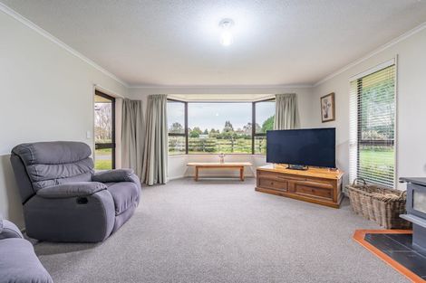 Photo of property in 115 Main North Road, Geraldine, 7930