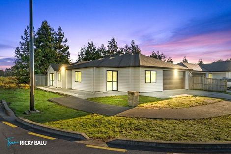 Photo of property in 17 Hard Beech Street, Takanini, 2110