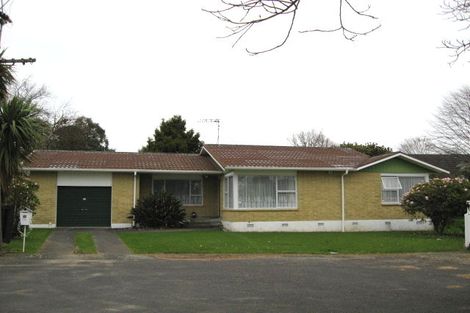 Photo of property in 25 Hobson Street, Levin, 5510