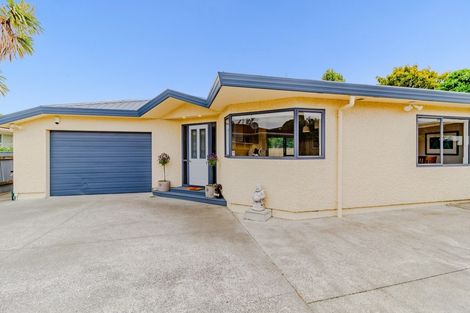 Photo of property in 118a Nelson Crescent, Napier South, Napier, 4110