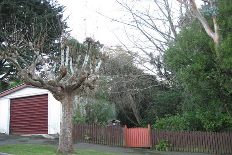 Photo of property in 16 Como Street, Maori Hill, Dunedin, 9010