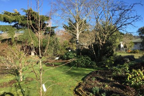 Photo of property in 77 Mill Road, Waimate, 7924