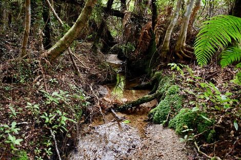 Photo of property in 70 Sunset Heights Road, Karamea, 7893