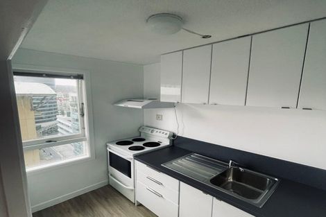 Photo of property in Churchill Flats, 213 The Terrace, Wellington Central, Wellington, 6011