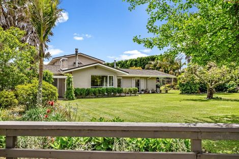 Photo of property in 40 Forest View Road, Te Kamo, Kamo, 0185