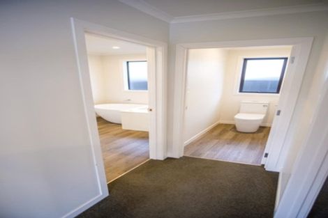 Photo of property in 43a Grey Street, Hamilton East, Hamilton, 3216