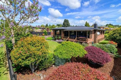 Photo of property in 1 Windsor Street, Springfield, Rotorua, 3015