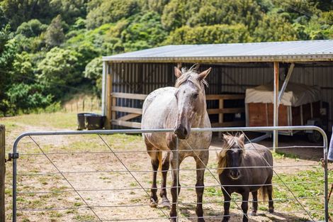 Photo of property in 1153 Paekakariki Hill Road, Paekakariki Hill, Porirua, 5381
