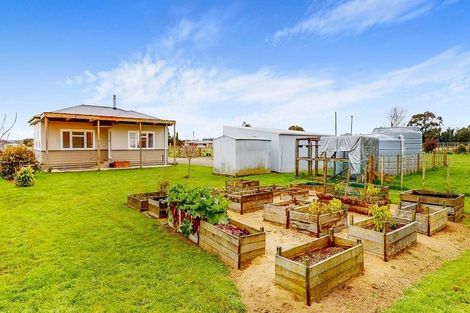 Photo of property in 25 Boulton Road, Levin, 5510