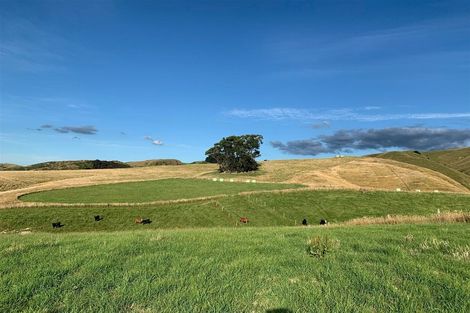 Photo of property in 261 Millars Road, Longbush, 5792