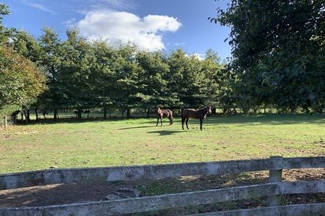 Photo of property in 114 Mcdrurys Road, Halswell, Christchurch, 7674