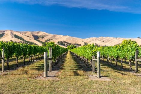 Photo of property in 218 Alabama Road, Riverlands, Blenheim, 7274