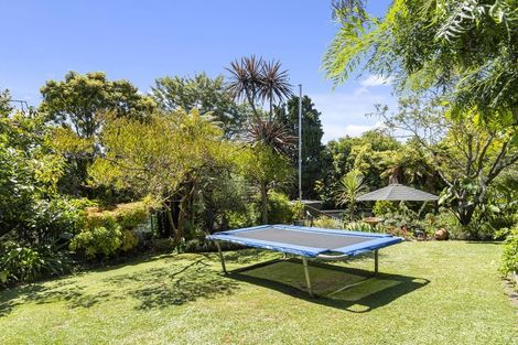Photo of property in 31 Merivale Road, Parkvale, Tauranga, 3112