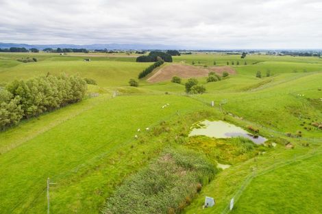 Photo of property in 828 Colyton Road, Bunnythorpe, Feilding, 4775