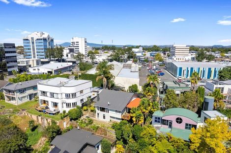 Photo of property in 14 Little London Lane, Hamilton Central, Hamilton, 3204