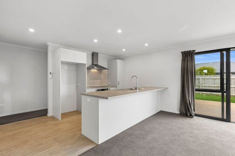 Photo of property in 39 Kahikatea Way, Appleby, Richmond, 7020