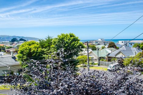 Photo of property in 60 Norfolk Street, Saint Clair, Dunedin, 9012