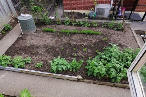 Photo of property in 28a Glendining Avenue, North East Valley, Dunedin, 9010