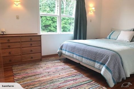 Photo of property in 50 Pagitt Street, Coromandel, 3506