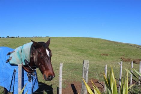 Photo of property in 71b Taiapa Valley Road, Muriwai, 0881