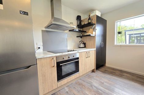 Photo of property in 56 Pine Tree Road, Kaniere, Hokitika, 7811