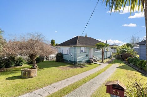Photo of property in 38 Marchant Street, Putaruru, 3411