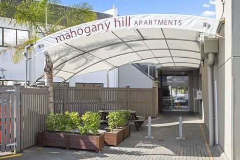 Photo of property in 9/5 Massey Avenue, Greenlane, Auckland, 1061