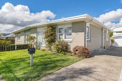 Photo of property in 29b Frederick Street, Avalon, Lower Hutt, 5011
