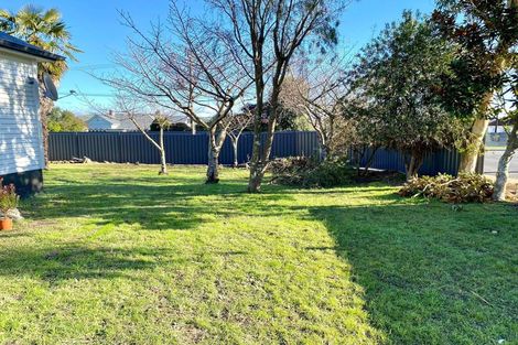 Photo of property in 69 Racecourse Road, Waipukurau, 4200