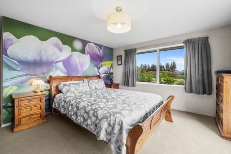 Photo of property in 205 Dawsons Road, Eiffelton, Ashburton, 7774