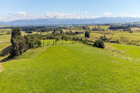 Photo of property in 7 Ranginui Drive, Kaiapoi, 7630