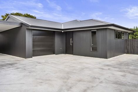 Photo of property in 399a Peachgrove Road, Fairfield, Hamilton, 3214