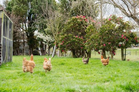 Photo of property in 22 Appleby Street, Hampden, 9410