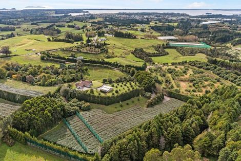 Photo of property in 237a Busby Road, Tahawai, Katikati, 3170